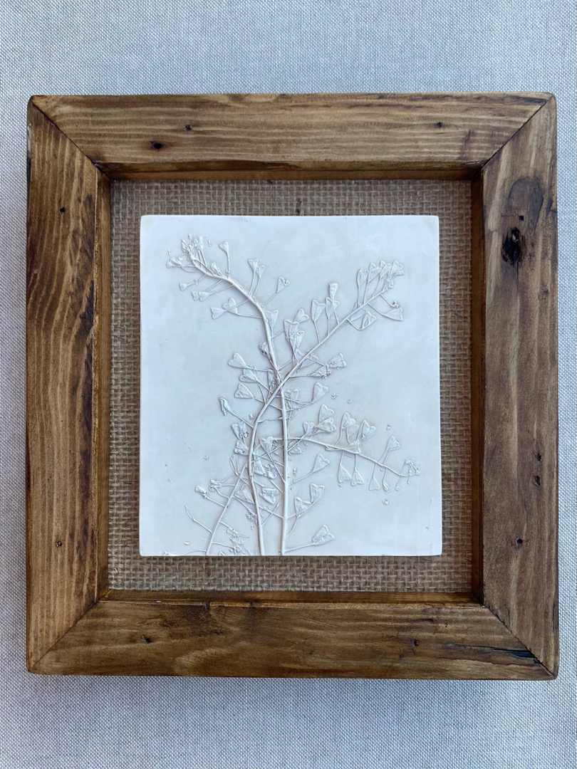 The Castaway- shepherds purse.jpg